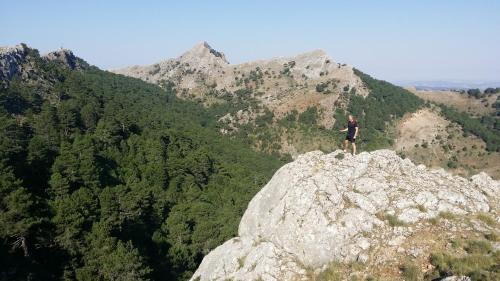 Hotel Val De Pinares