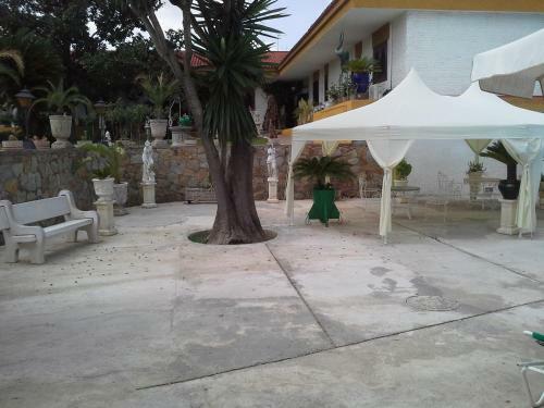 Hotel Gines