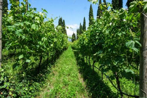 Apartamento Villa Betteloni Valpolicella Suites