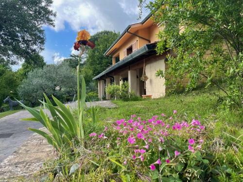 Hostal Botanea Guest House