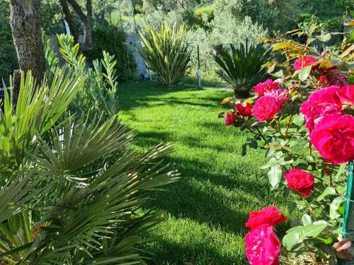 The Garden