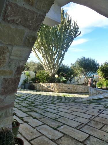 Casa Calendule