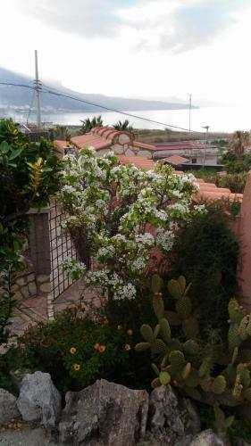 Bed & Breakfast Accuss�