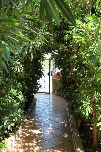 Villa Giardino 3 Camere 4 Bagni 2 Passi Dal Mare