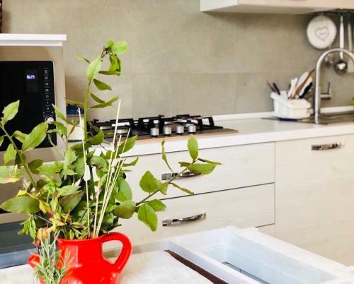 Apartamento Villa Oasi A 50 Mt Dalla Spiaggia