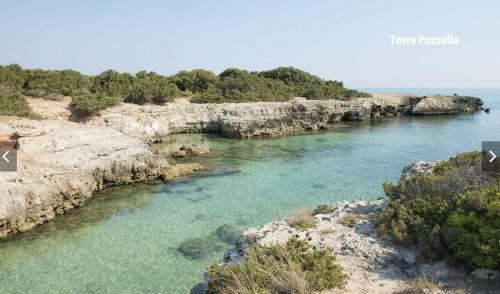Apartamento Villa Nettuno
