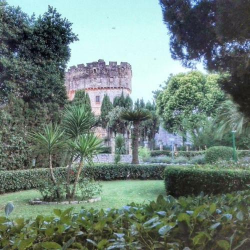 Villa Lilly's House