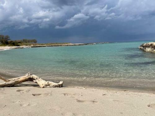 Hostal Dimora Terra Di Puglia