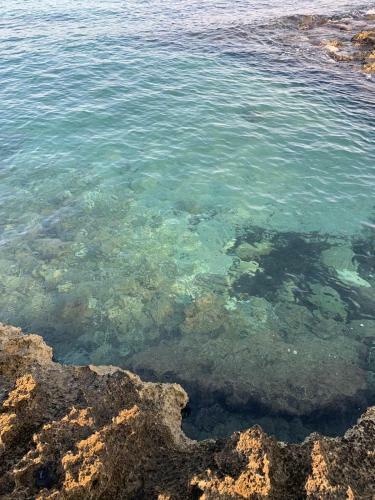 Hostal Dimora Terra Di Puglia