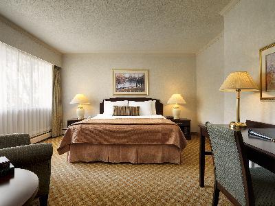 Royal Scot Suite Hotel - Studio Suite