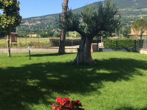 Apartamento Residenza Il Rivo
