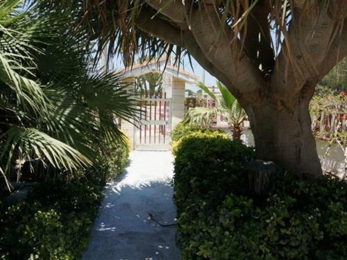 Apartamento Villa Dracena Vd2