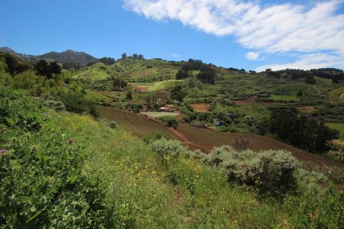 La Burbuja