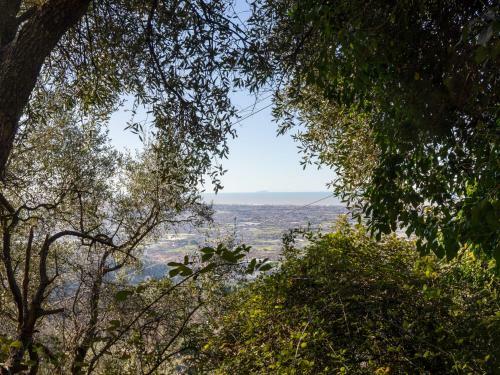 Villa Locazione Turistica Al Pozzo