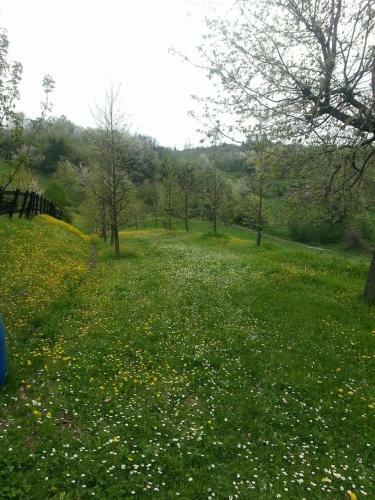 Casa Intera Tra Le Colline E Le Vigne Del Dolcetto