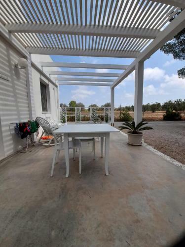 Bed & Breakfast Le Stelle Di Arneo - Casa Vacanze