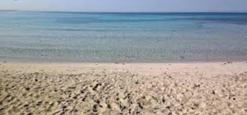 Apartamento Acquazzurra Affittacamere