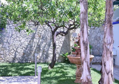 Bed & Breakfast Beb Mare Chiaro