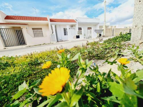 Apartamento Appartamento Lapillo