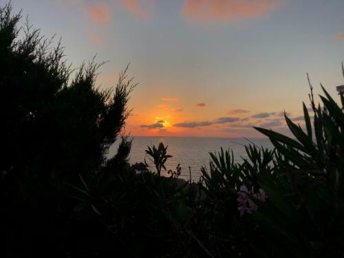 Apartamento Scoglio A Costa Paradiso