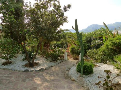 Villa Pego 2