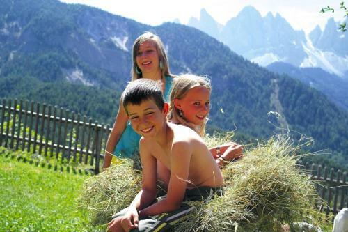 Apartments Home Niedermunthof, Villn��
