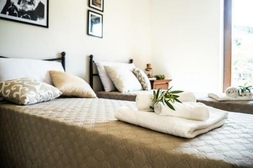 Agroturismo Il Madrigale - Agriturismo B&B