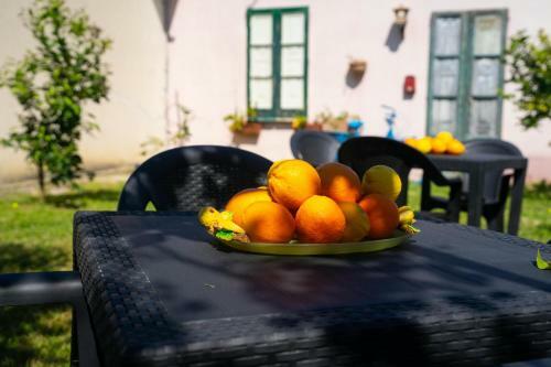 Agroturismo Il Madrigale - Agriturismo B&B