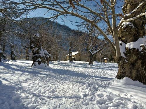 Apartamento Bilocale Gran Chalet Montecreto