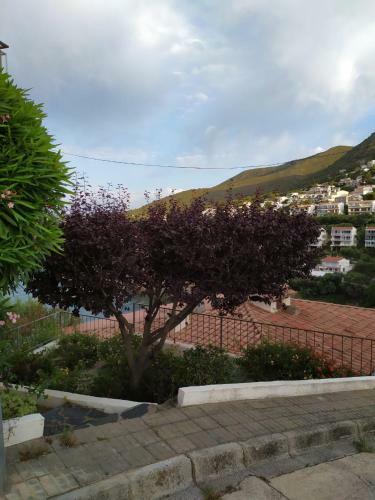 Hostal Can Pau Guesthouse