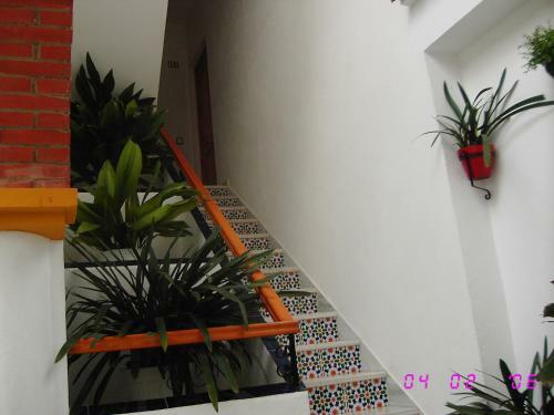 Apartamentos Los Arcos
