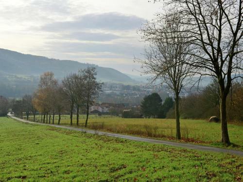 Wooden Apartment In Lowensen Lower Saxony With Private Terrace