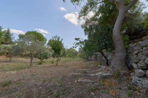 Riserva Ancelle