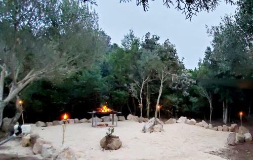 Villa Celeste / Private / Escape To Nature / Olive Groves / Sea Views