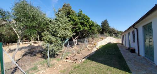 Villa Celeste / Private / Escape To Nature / Olive Groves / Sea Views