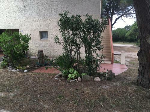 Apartamento Monolocale A Rena Majore Di Gallura