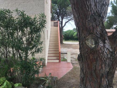 Apartamento Monolocale A Rena Majore Di Gallura