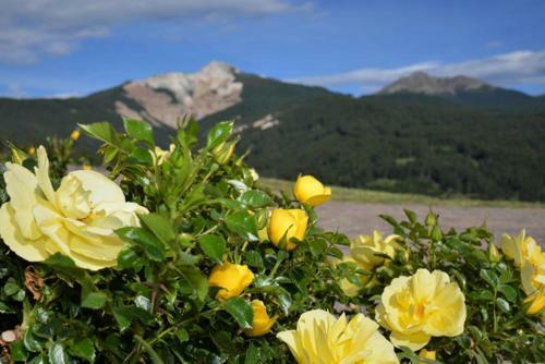 Apartamento Residence Scheidnerhof