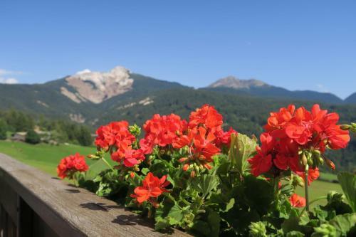 Apartamento Residence Scheidnerhof