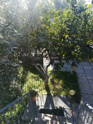 Apartamento Casa Cocco