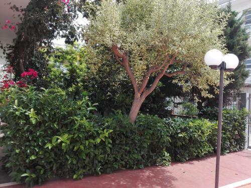 Bed & Breakfast La Magnolia