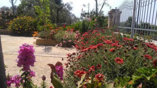 Apartamento Villetta Relax