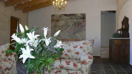 Finca Llimpet