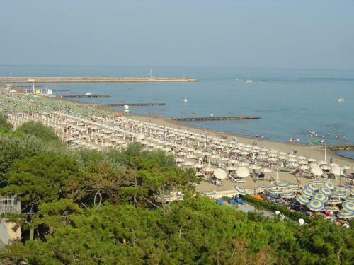 Nice Studio Apartment In A Great Location Near The Beach