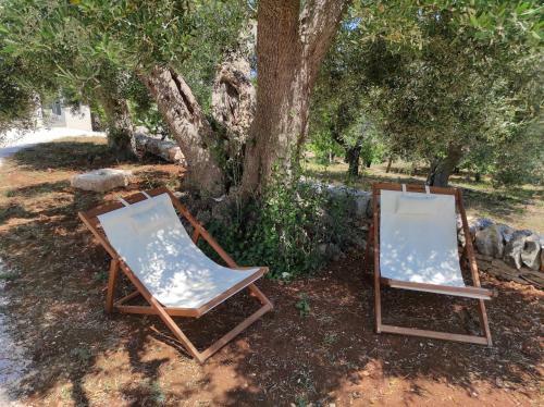 Agroturismo Trulli Giannina Suite Relax & Spa