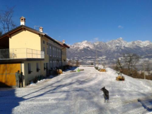 Agroturismo Agriturismo La Casa Nei Boschi