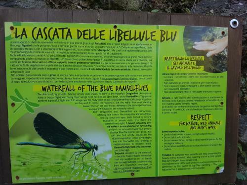 Villa Natura