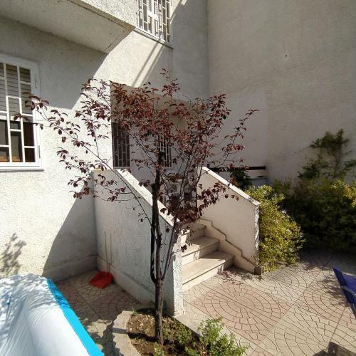 Puglia, Gargano,villa Indipendente Con Parcheggio.