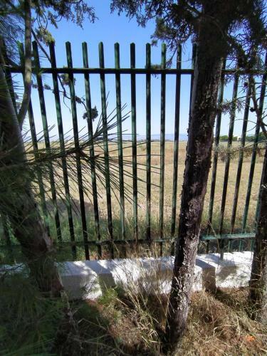 Puglia, Gargano,villa Indipendente Con Parcheggio.