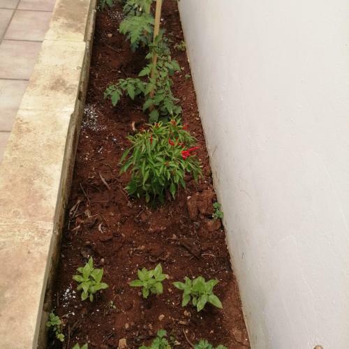 Apartamento Casa Vacanze Salento Bella Vista
